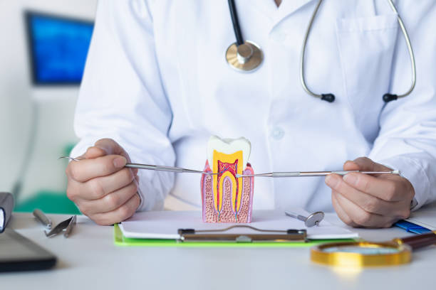 Best Emergency Tooth Extraction in Loudonville, OH